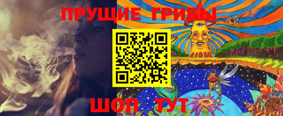 Галлюциногенные грибы Psilocybine cubensis Североуральск