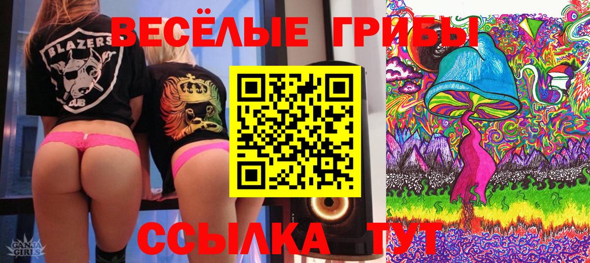 Североуральск  А ПВП СК   COCAIN  Марихуана  Вход с VPN  Сколько стоит  ГАШ  Меф МЯУ МЯУ  
